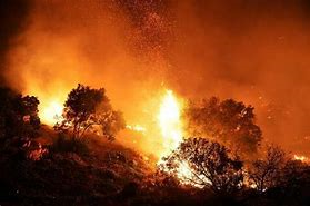 Dichiarazione stato di massima pericolosità per gli incendi boschivi.