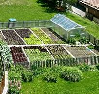 Corso sulla gestione dell’orto e del frutteto biodiverso.
