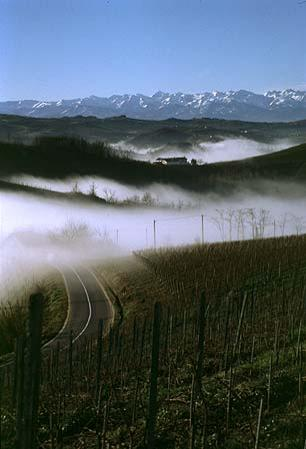 Un tuffo nella nebbia
