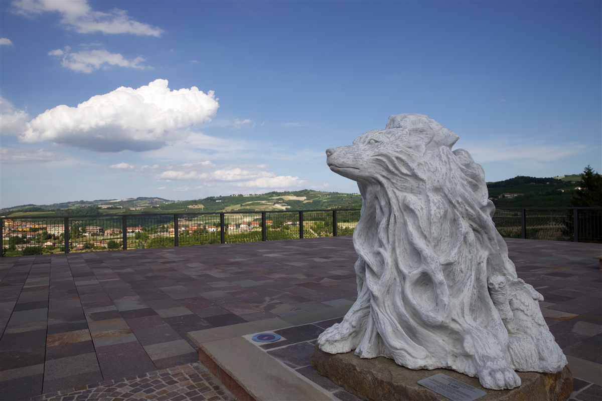 Belvedere Michele Ferrero ph. Johnny Murialdo