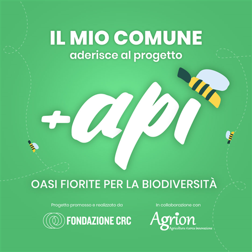 Progetto "+Api.Oasi fiorite per la biodiversità".